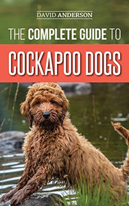 The Complete Guide to Cockapoo Dogs 