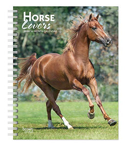 Horse Lovers 2020 Diary 