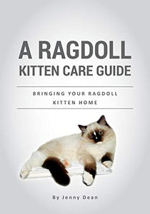 A Ragdoll Kitten Care Guide 