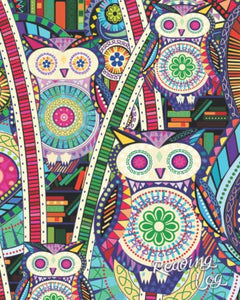 Reading Log: Gifts for Book Lovers (A reading journal with 100 spacious record pages and more in a large soft covered notebook from our Carnival Owls range) (Reading Logs & Journals) 