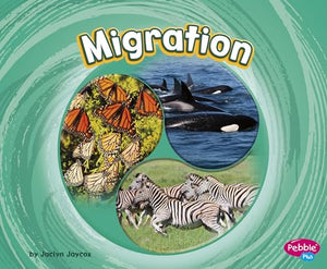 Migration 