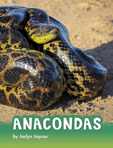 Anacondas 