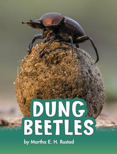 Dung Beetles 