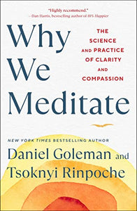 Why We Meditate 