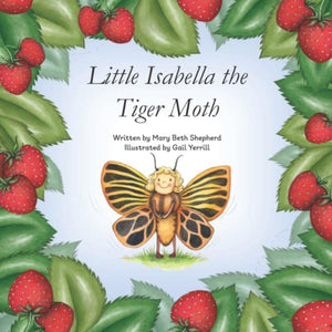 Little Isabella the Tiger Moth 