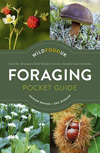 Foraging Pocket Guide 