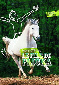 Le fils de Flicka 