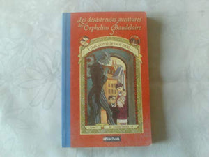 Les Desastreuses Aventures DES Orphelins Baudelaire 