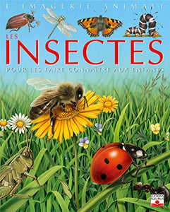 Insectes 