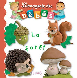 Imagerie DES Bebes 