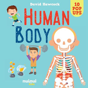 Human Body 