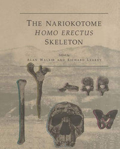 The Nariokotome Homo Erectus Skeleton 