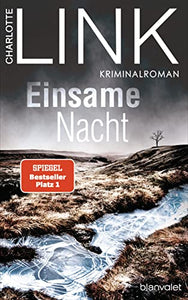 Einsame Nacht 