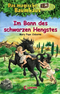 Im Bann des schwarzen Hengstes 