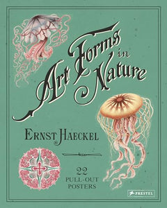 Ernst Haeckel: Art Forms in Nature: 22 Pull-Out Posters 