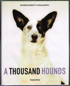 A Thousand Hounds 