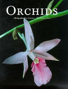 Orchids 