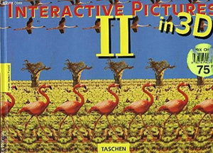 Interactive Pictures 