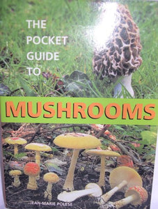 Mushrooms Mini Guide 