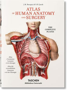 Bourgery. Atlas de anatomía humana y cirugía 