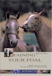 Training Your Foal 