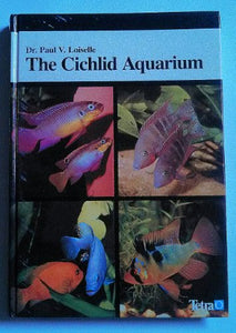 Cichlid Aquarium 