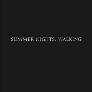 Robert Adams: Summer Nights, Walking 