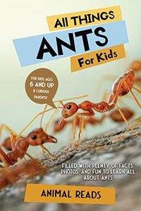 All Things Ants For Kids 