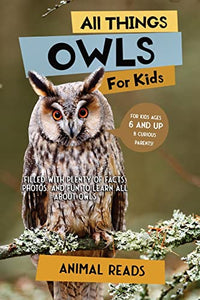 All Things Owls For Kids 