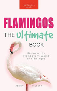 Flamingos The Ultimate Flamingo Book for Kids 