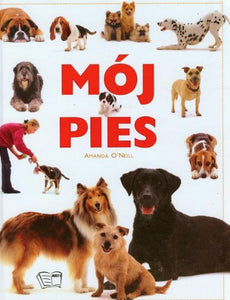 Mój pies 