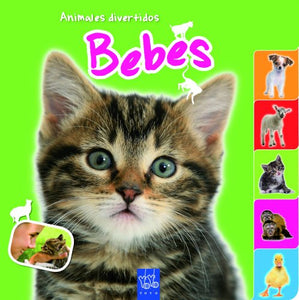 Bebés: Animales divertidos 