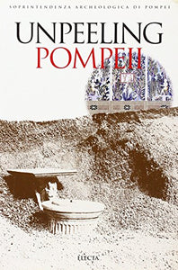 Pompeii Archaeological Guidebooks 