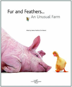 Fur and Feathers: An Unusual Farm 