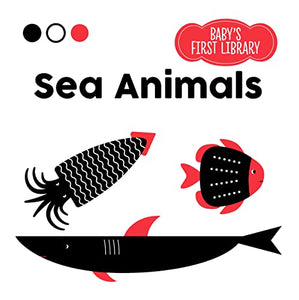 Sea Animals 