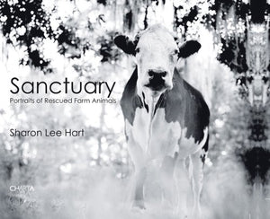 Sharon Lee Hart: Sanctuary 