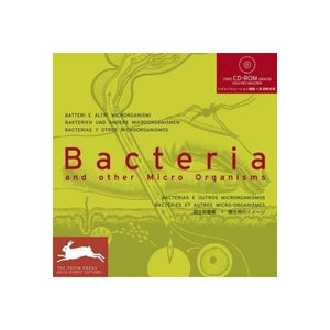 Bacteria and Other Micro Organisms 