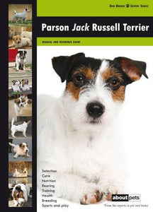 Parson Jack Russell Terrier 