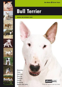 Bull Terrier 