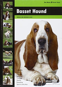 Basset Hound 