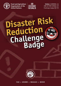 Disaster risk reduction challenge badge 