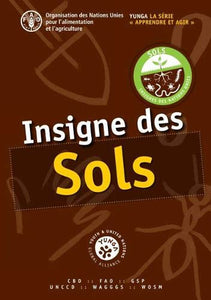 Insigne des sols 