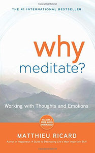 Why Meditate? 