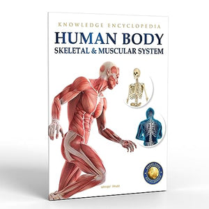 Human Body 