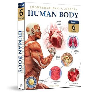 Human Body 