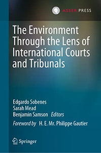 The Environment Through the Lens of International Courts and Tribunals 