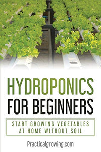 Hydroponics for Beginners 