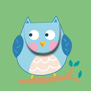 Owl (Soft Peekaboo Bedtime Book) 