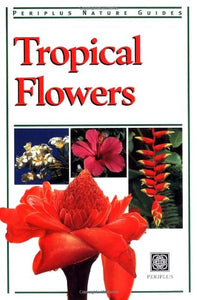 Tropical Flowers 