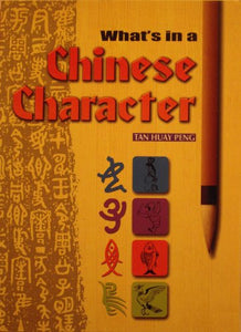 What's in a Chinese Character? 